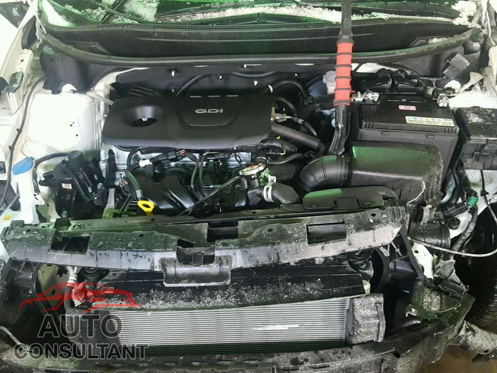 KIA RIO 2016 - KNADM5A33G6648495