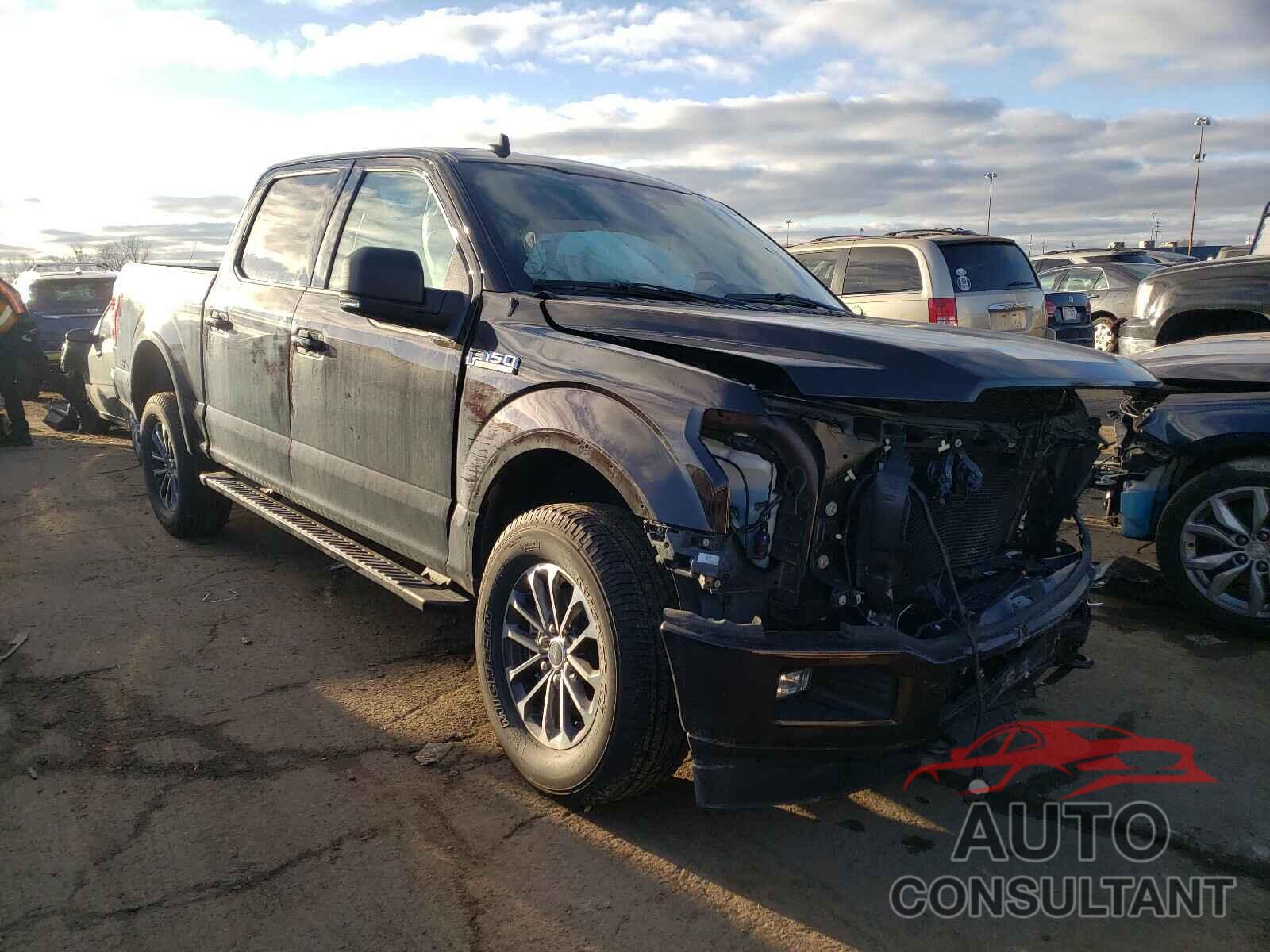 FORD F150 2019 - 1FTEW1EP2KFD31033