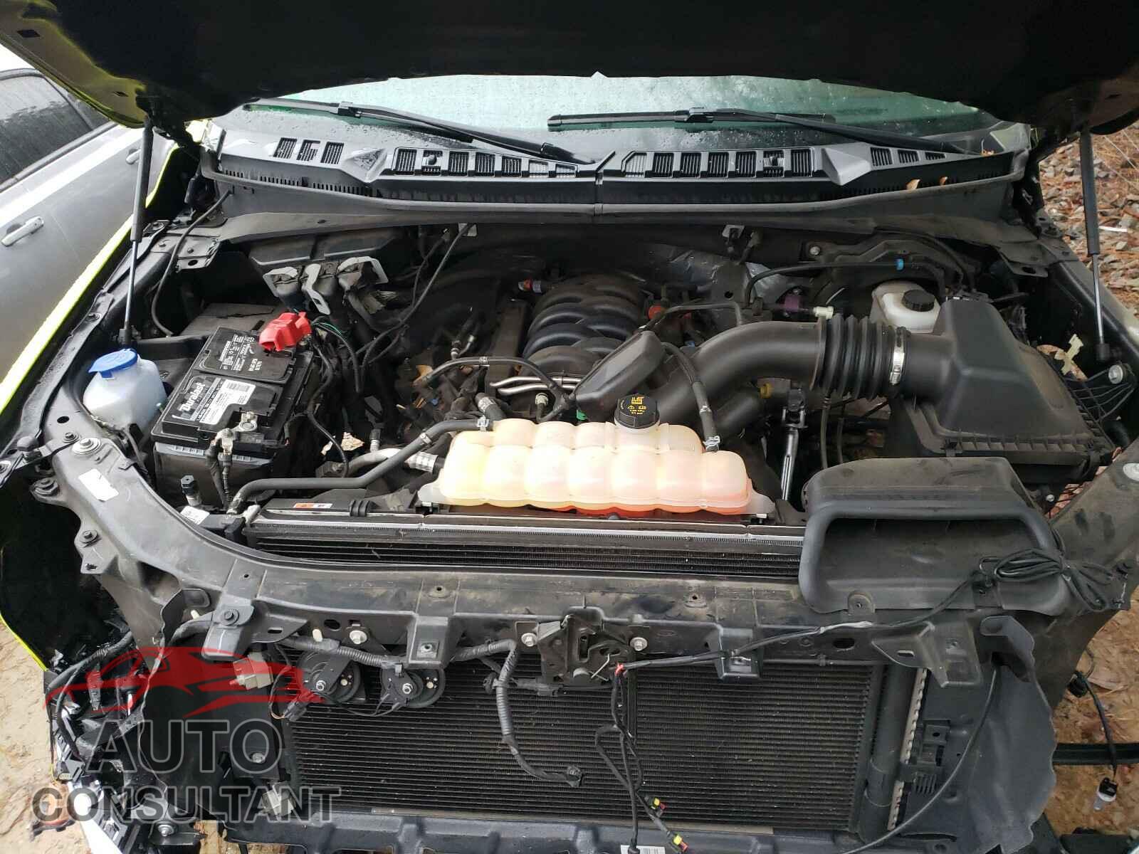 FORD F150 2019 - 1FTEW1E55KFA20257