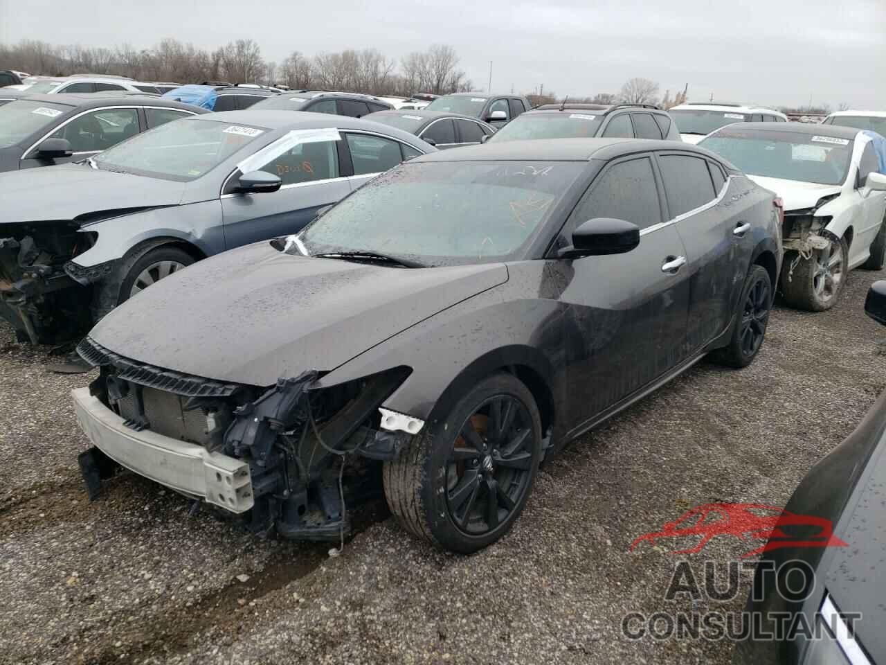 NISSAN MAXIMA 2016 - 1N4AA6APXGC436983