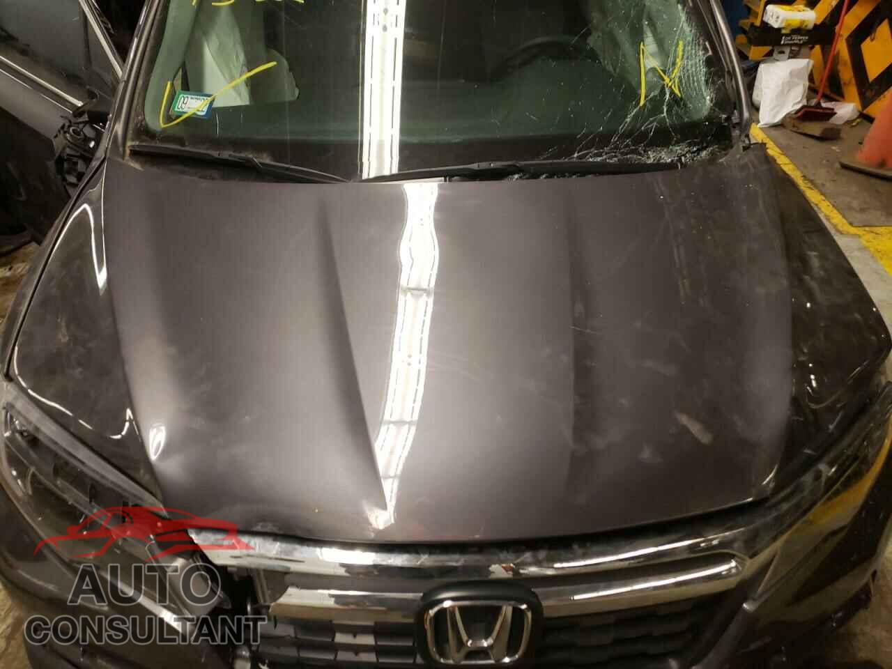 HONDA RIDGELINE 2019 - 5FPYK2F29KB005145
