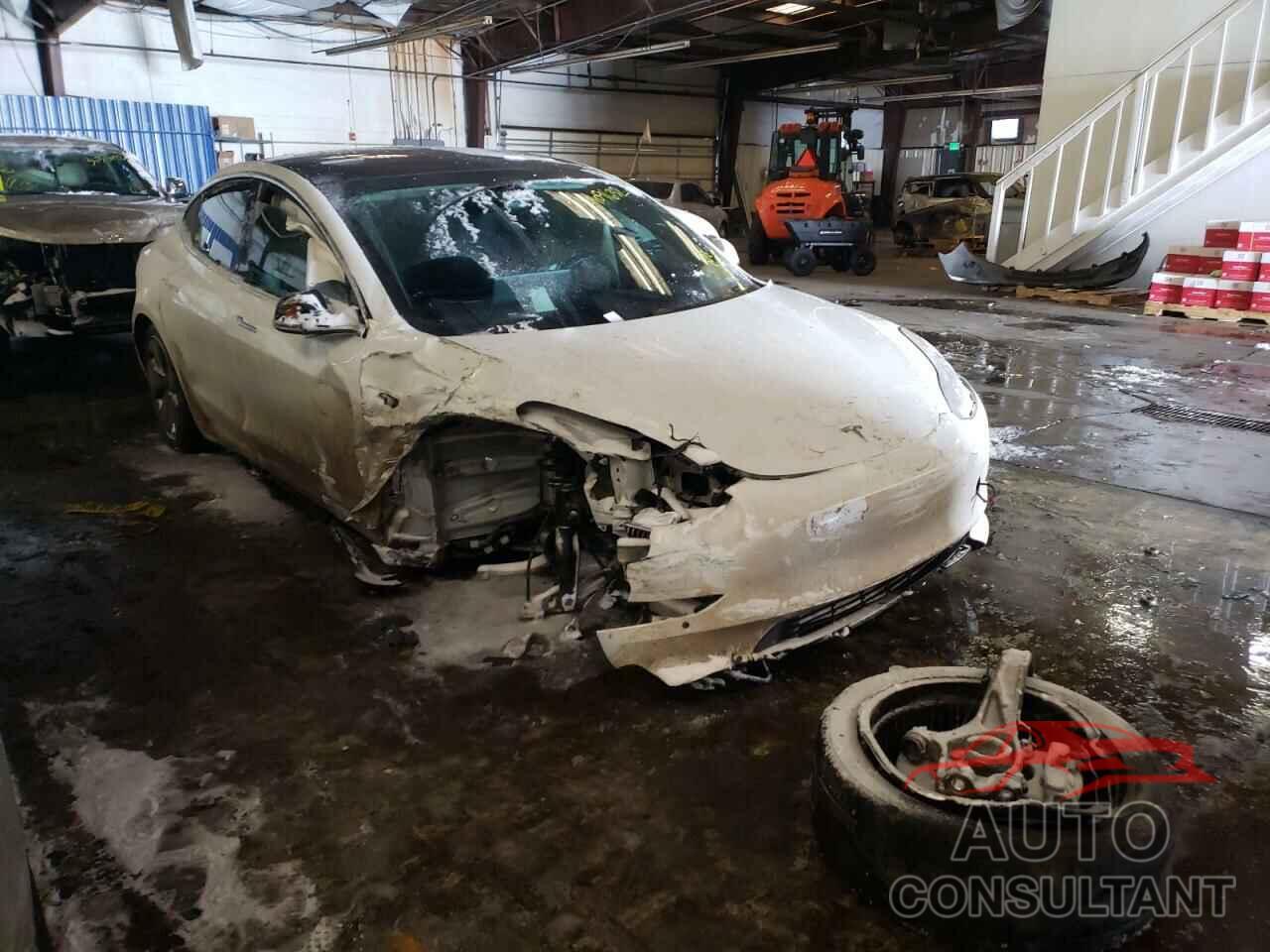 TESLA MODEL 3 2019 - 5YJ3E1EB9KF437403