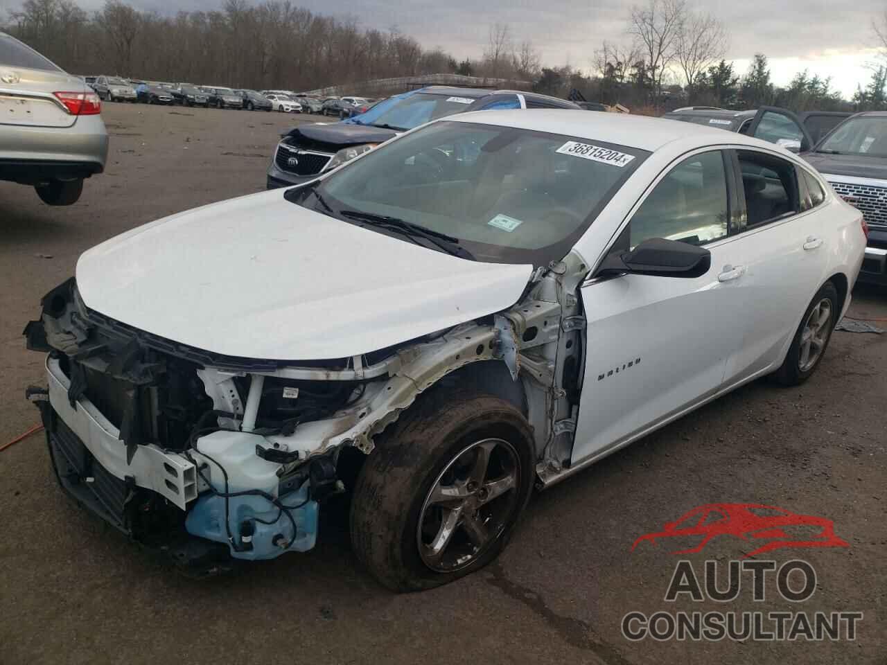 CHEVROLET MALIBU 2017 - 1G1ZB5ST7HF134088
