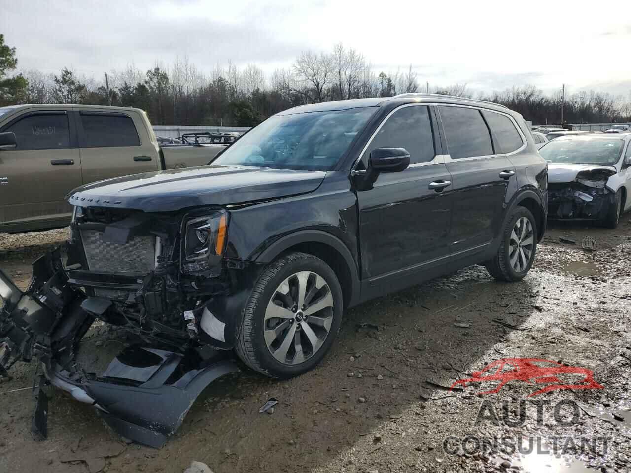 KIA TELLURIDE 2021 - 5XYP6DHC7MG182539