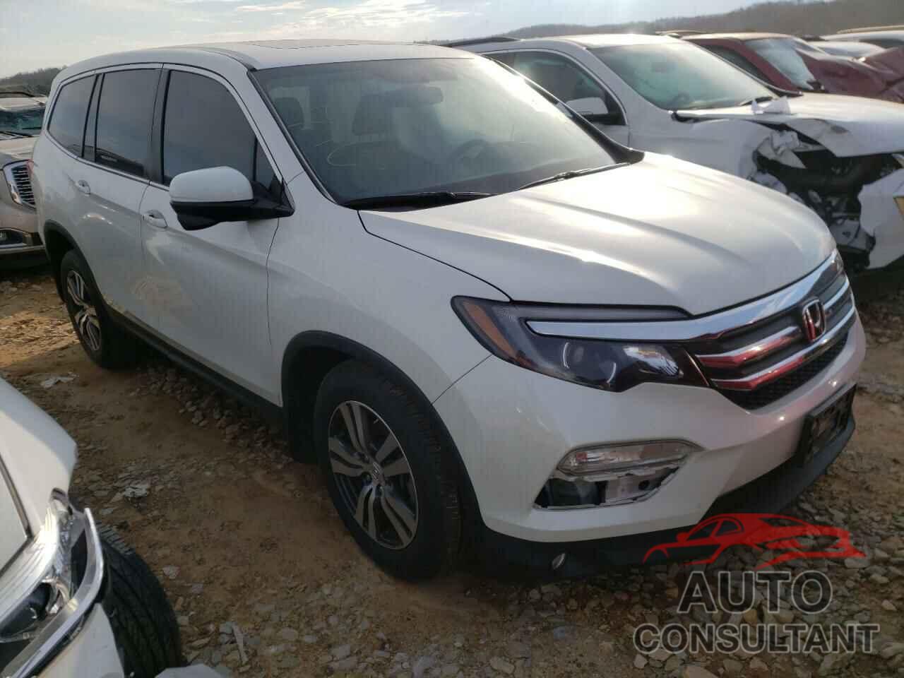 HONDA PILOT 2016 - 5FNYF5H57GB031448