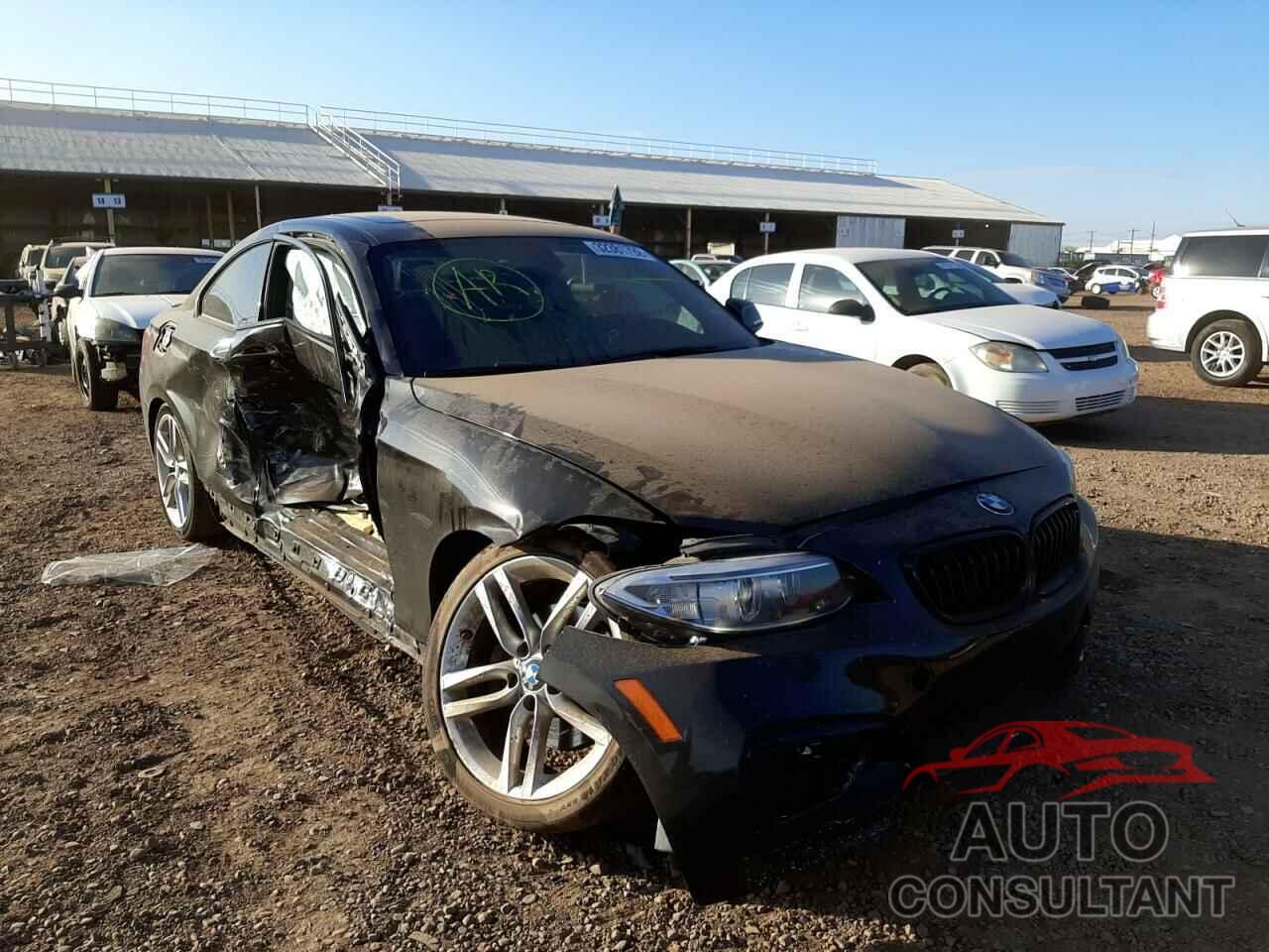 BMW 2 SERIES 2016 - WBA1F9C56GV545841