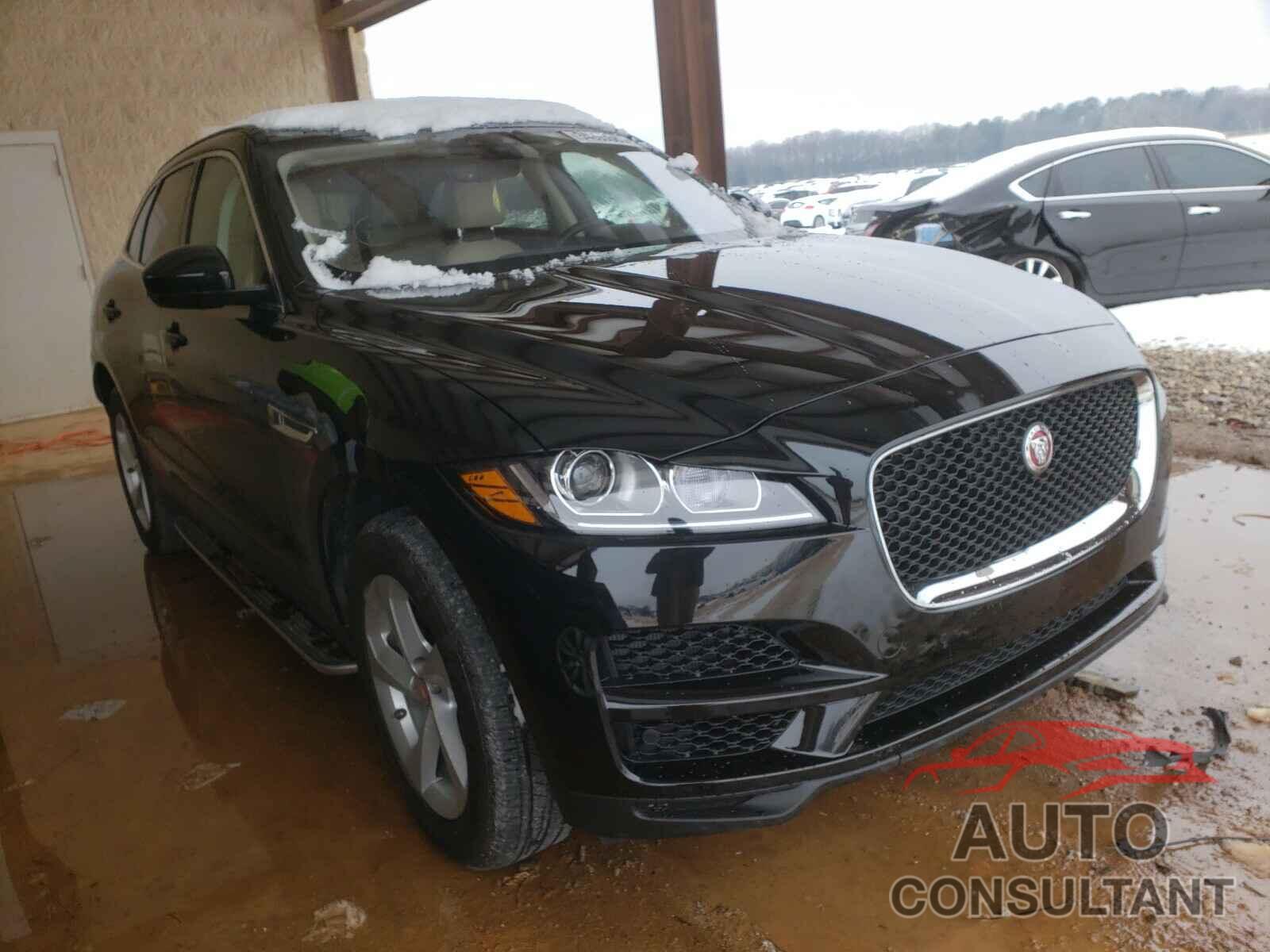 JAGUAR F-PACE 2019 - SADCJ2FX3KA391933