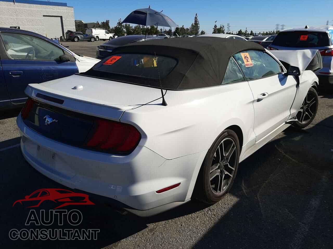 FORD MUSTANG 2021 - 1FATP8UH5M5121984