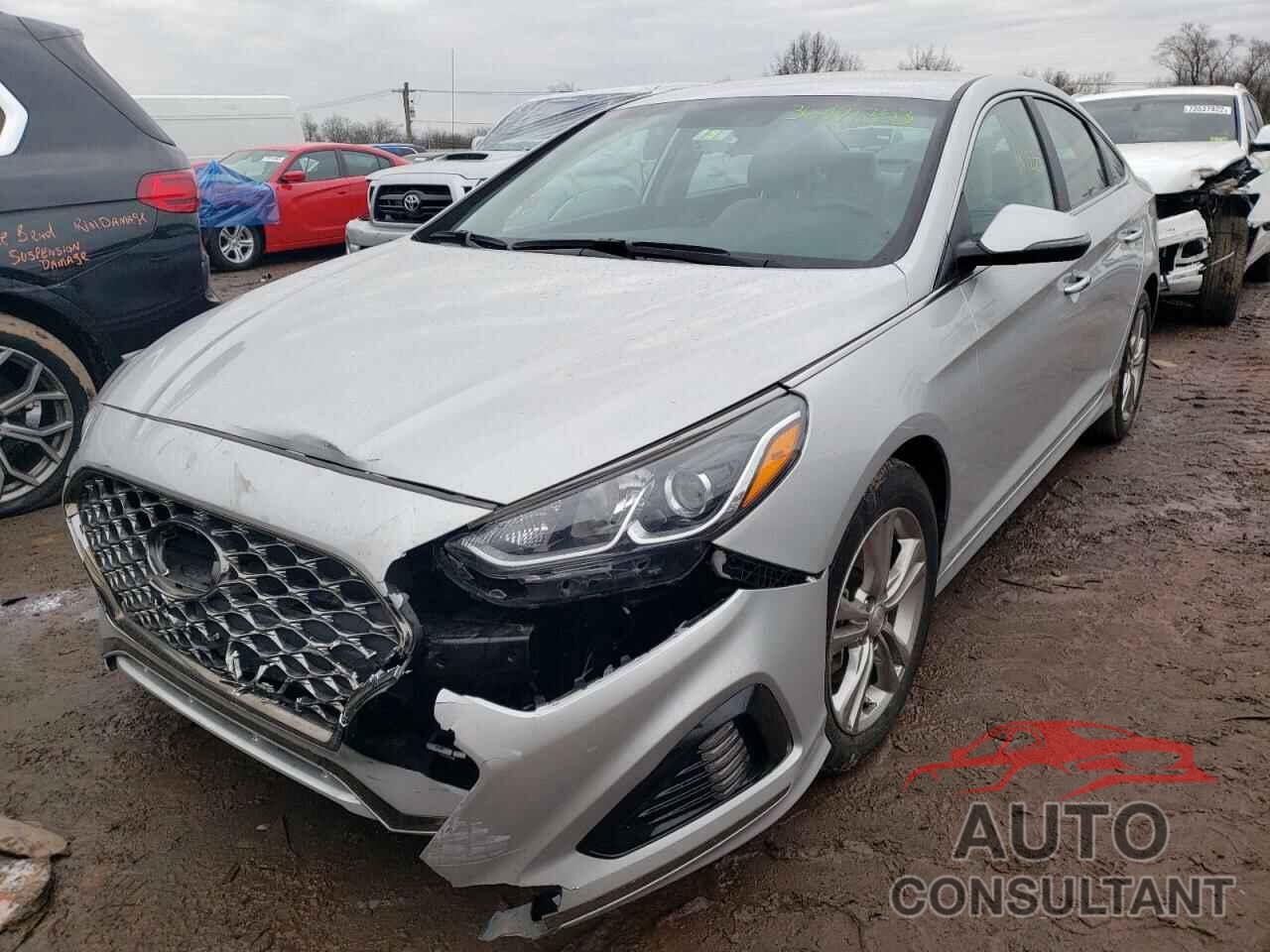 HYUNDAI SONATA 2019 - 5NPE34AF4KH795244