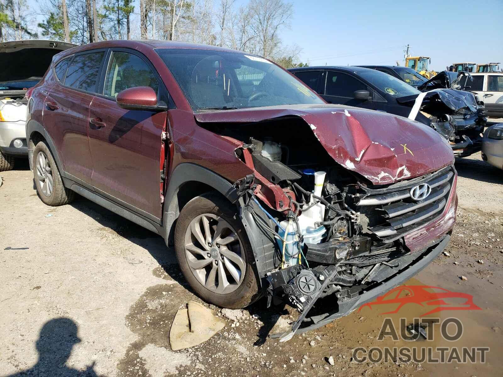 HYUNDAI TUCSON 2016 - KM8J23A46GU041510