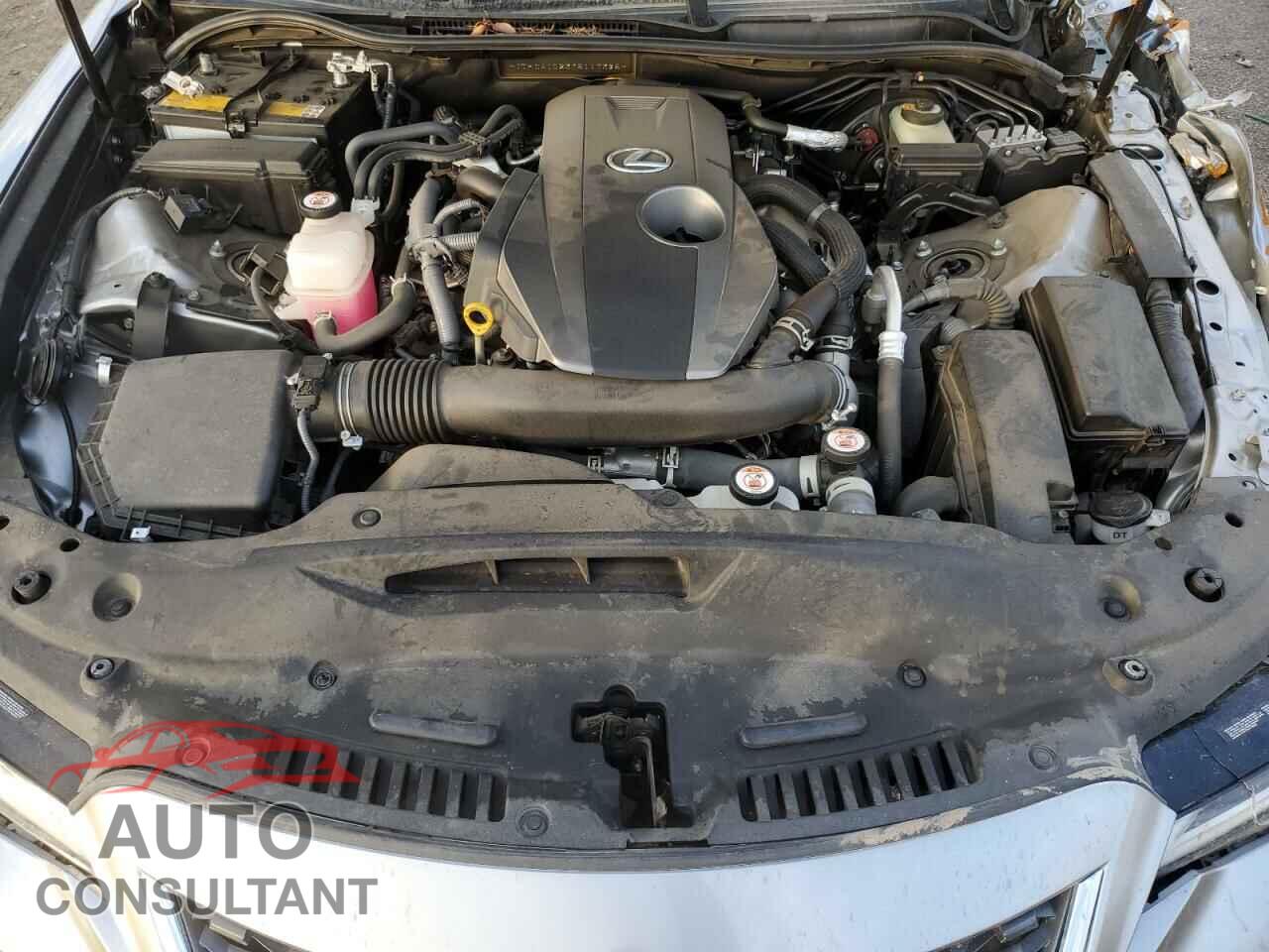 LEXUS IS 2021 - JTHCA1D23M5117395