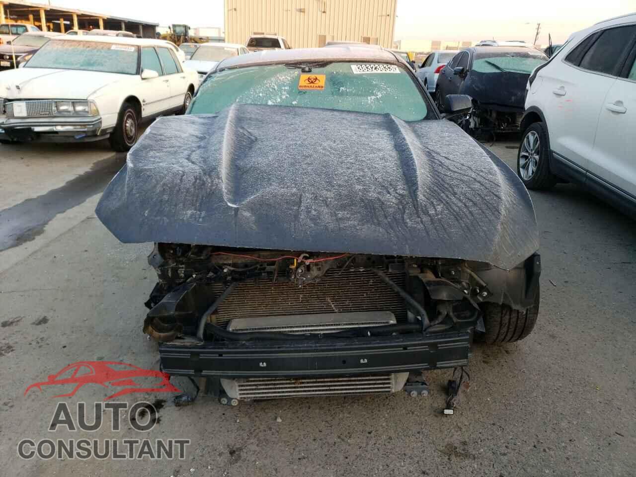 FORD MUSTANG 2016 - 1FA6P8TH4G5246543