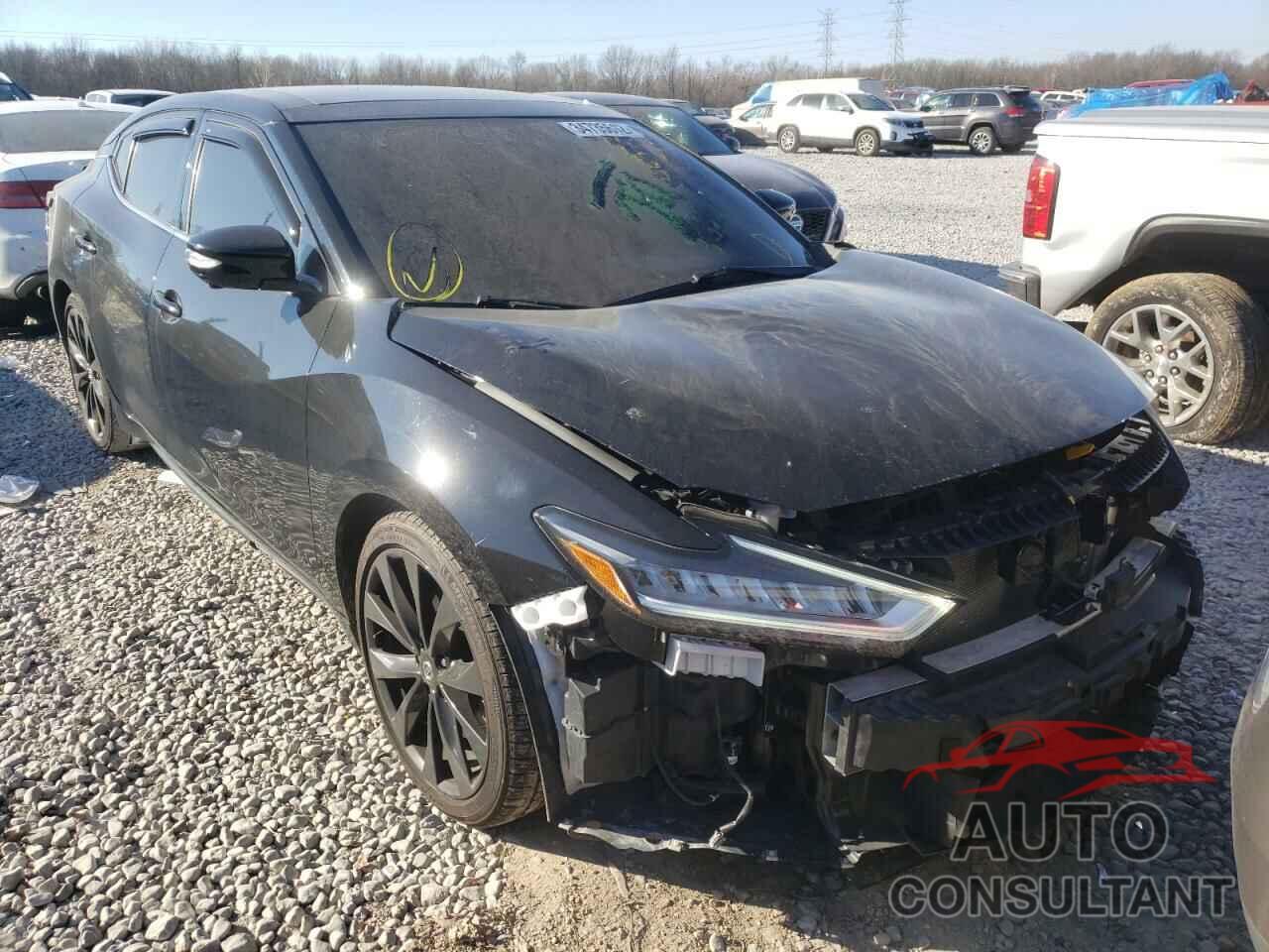 NISSAN MAXIMA 2019 - 1N4AA6AV6KC380435