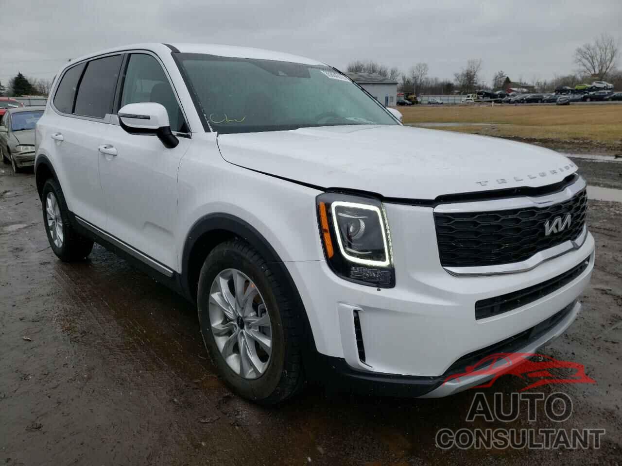 KIA TELLURIDE 2022 - 5XYP2DHC0NG247339