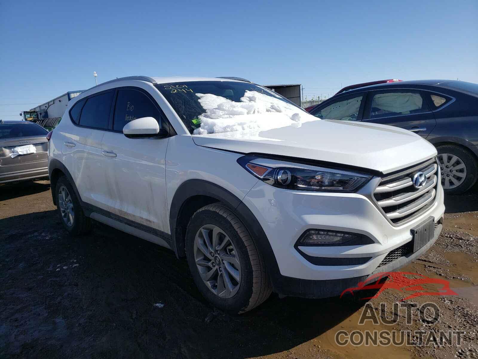 HYUNDAI TUCSON 2017 - KM8J3CA42HU443930