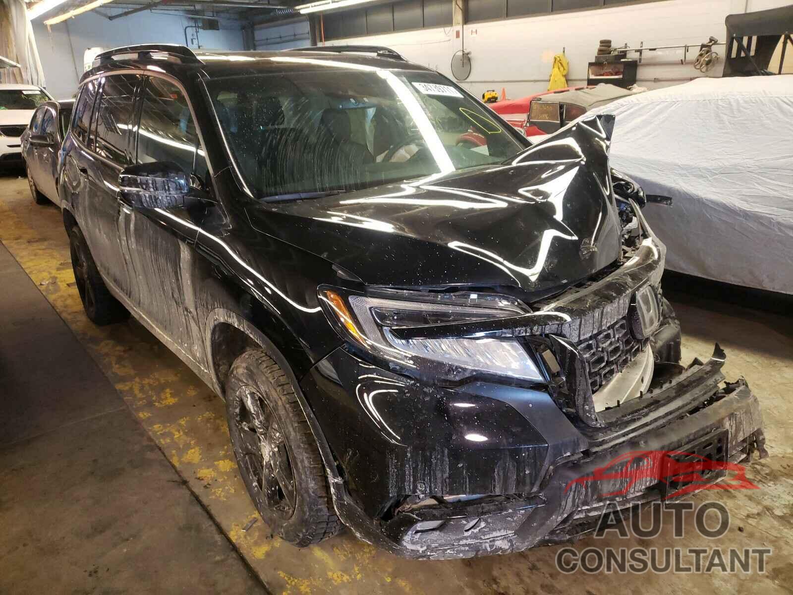 HONDA PASSPORT 2019 - 5FNYF8H03KB022020