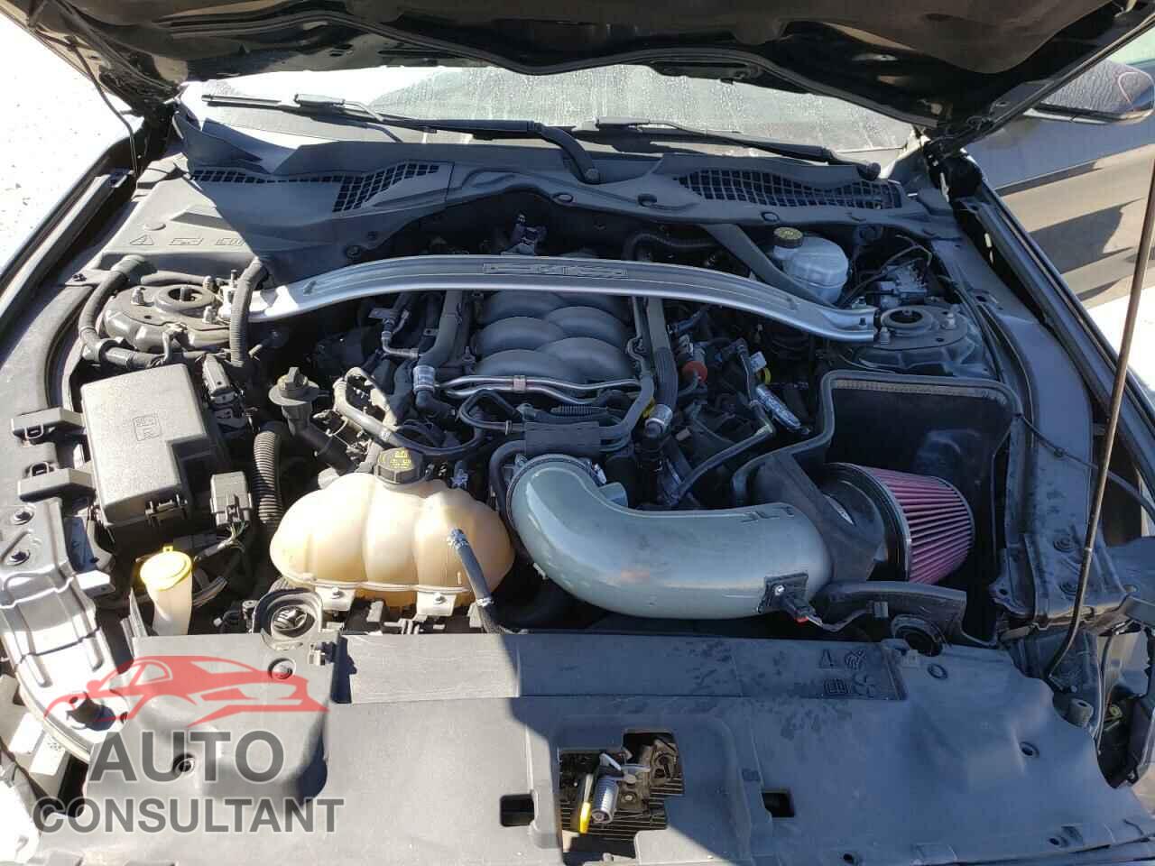FORD MUSTANG 2019 - 1FA6P8CF1K5168357