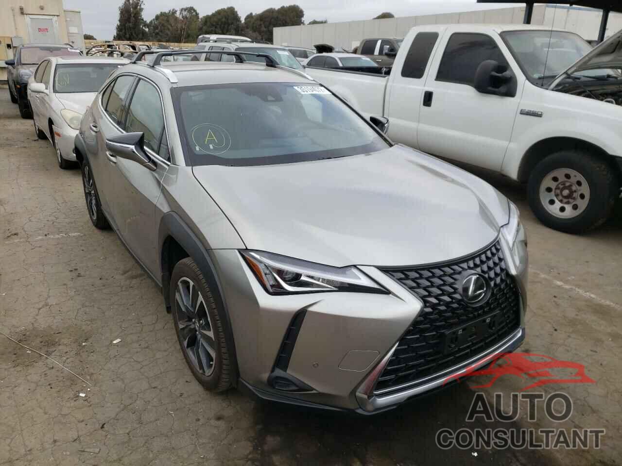 LEXUS UX 200 2021 - JTHX3JBH5M2045197