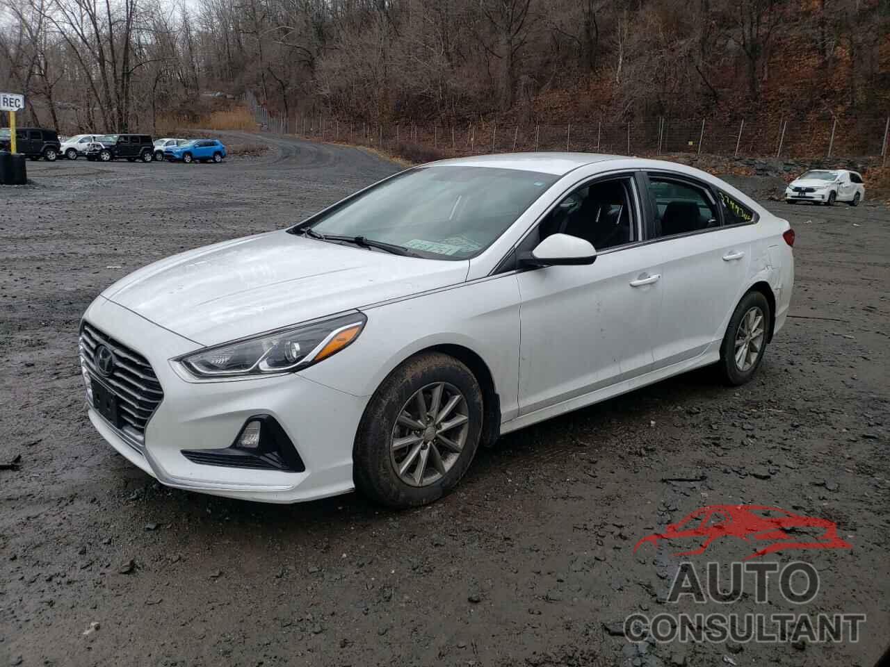 HYUNDAI SONATA 2019 - 5NPE24AF2KH805045