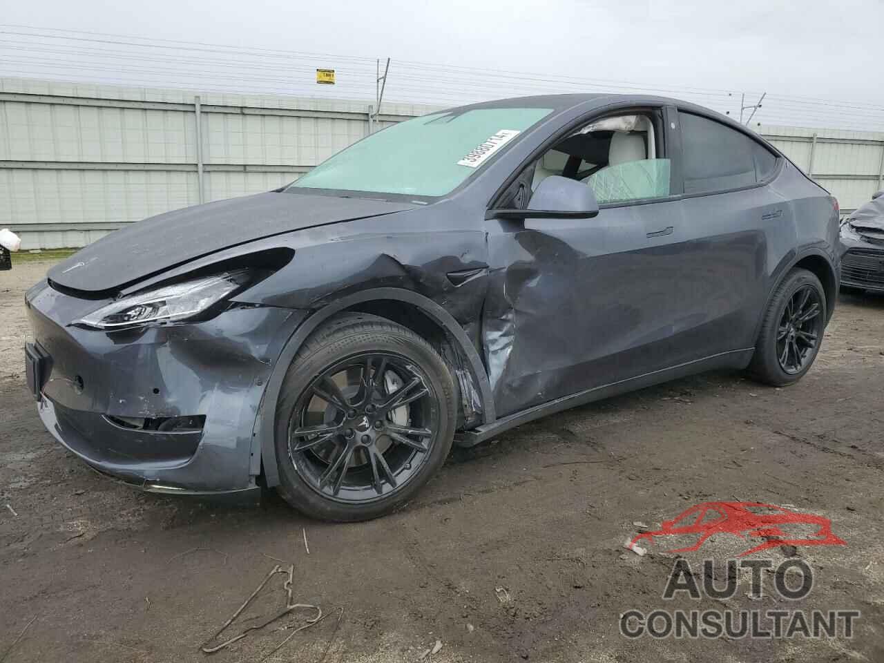 TESLA MODEL Y 2021 - 5YJYGDEE0MF098531