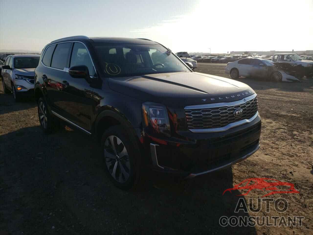 KIA TELLURIDE 2021 - 5XYP34HC2MG124525