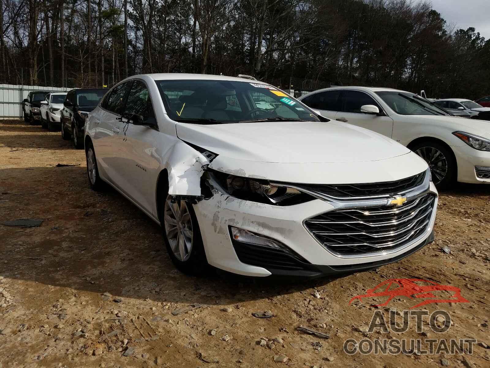CHEVROLET MALIBU 2019 - JTEBU5JR8H5435916