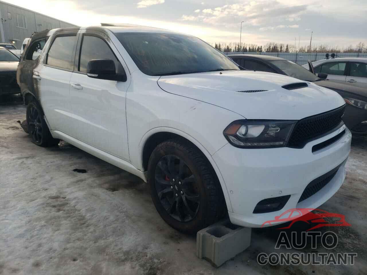 DODGE DURANGO 2019 - 1C4SDJCT2KC817500