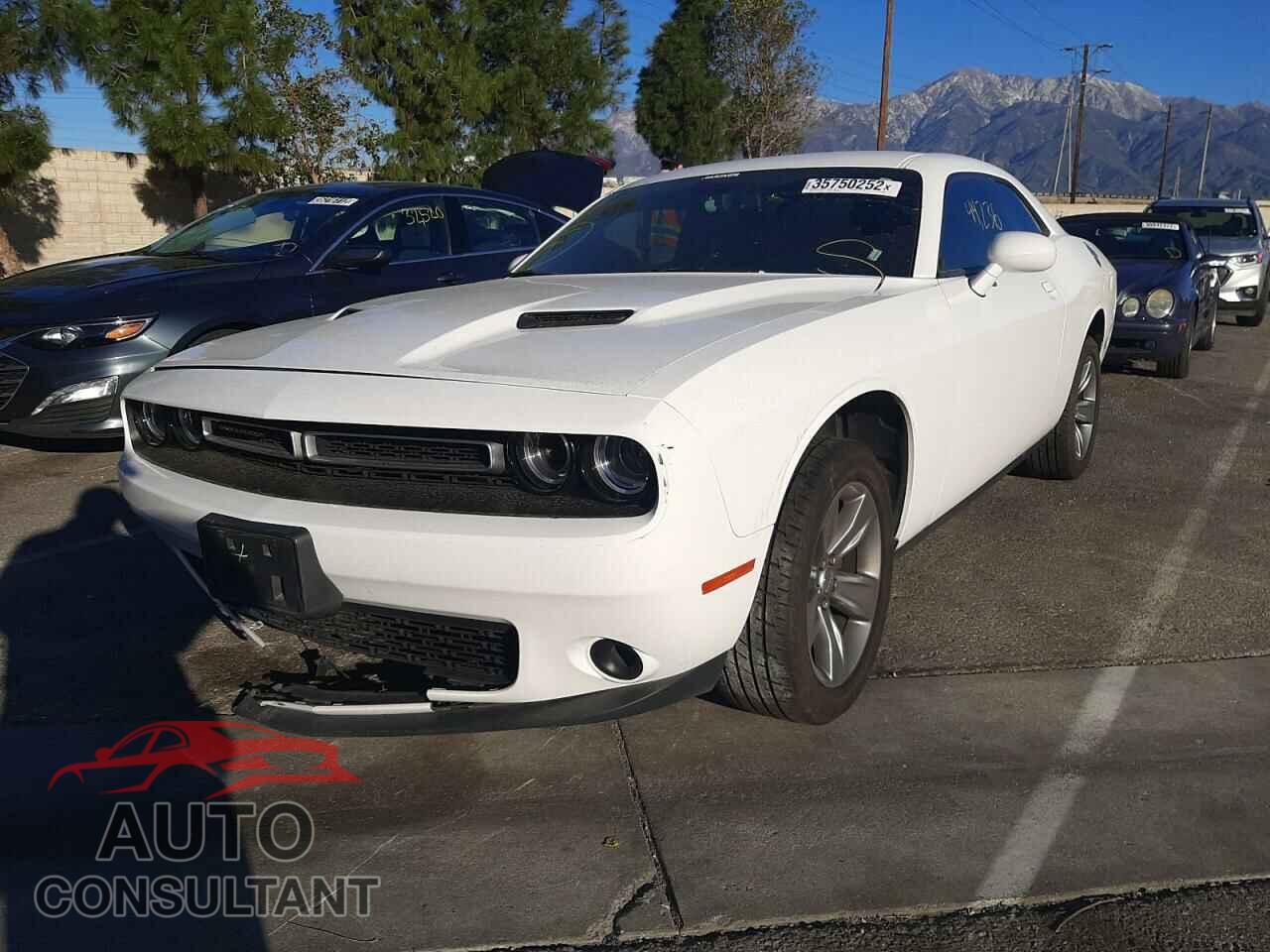 DODGE CHALLENGER 2019 - 2C3CDZAG3KH701586