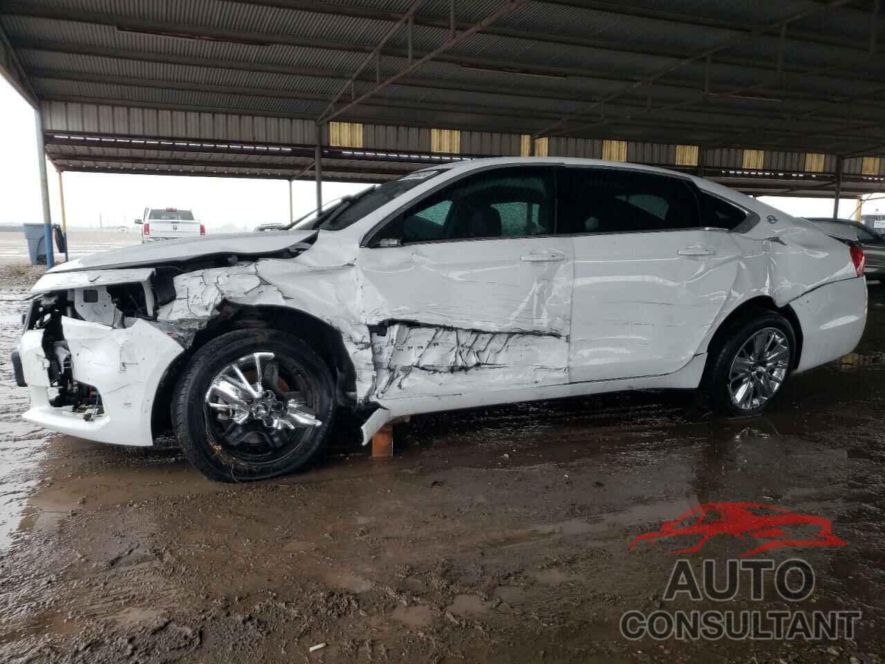 CHEVROLET IMPALA 2019 - 1G11Y5S35KU140325