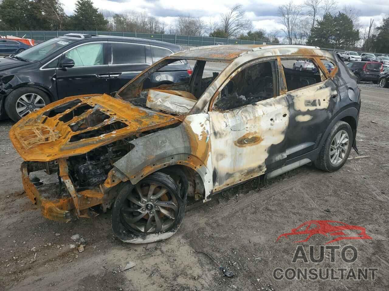 HYUNDAI TUCSON 2017 - KM8J33A44HU594395
