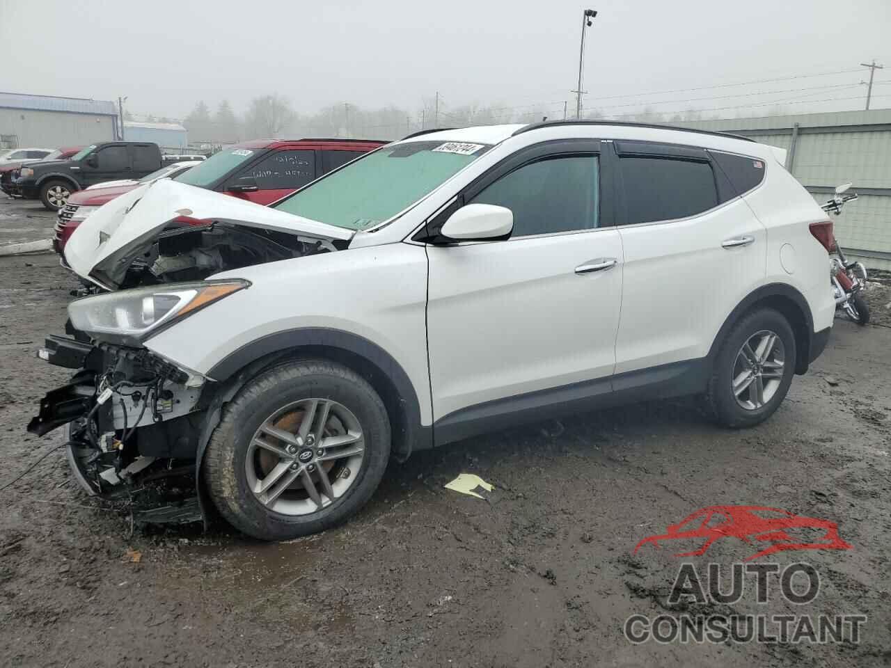 HYUNDAI SANTA FE 2017 - 5NMZUDLB9HH022719