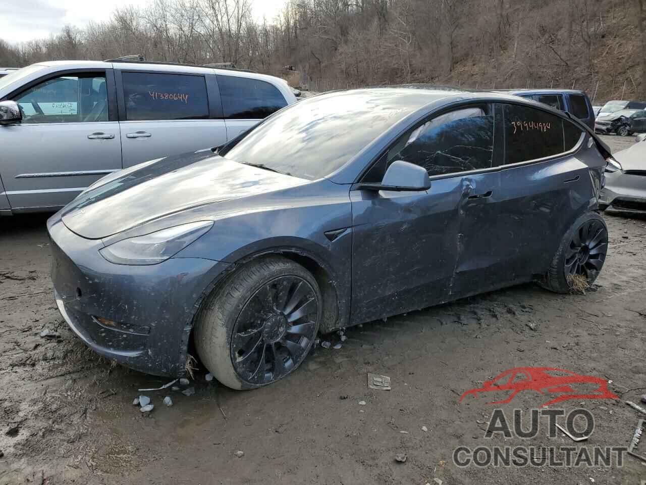 TESLA MODEL Y 2022 - 7SAYGDEF2NF379744