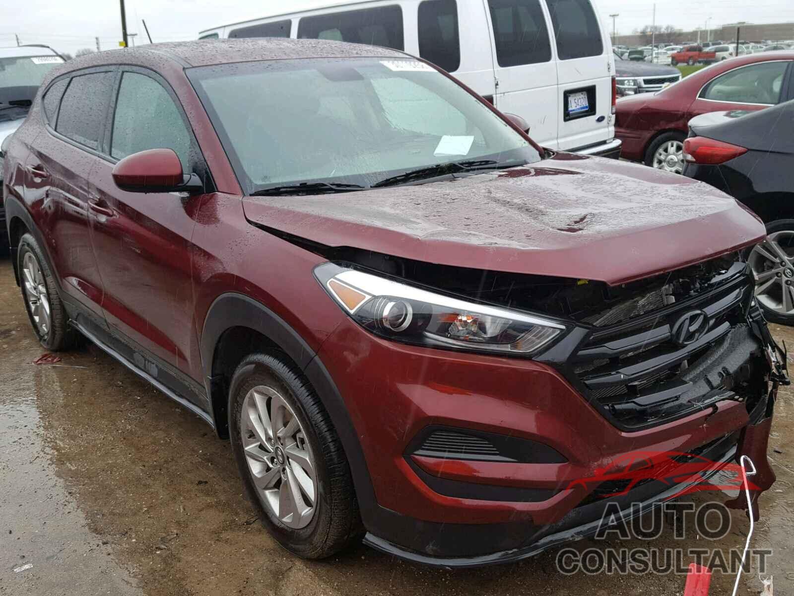 HYUNDAI TUCSON 2017 - KM8J23A44HU414321