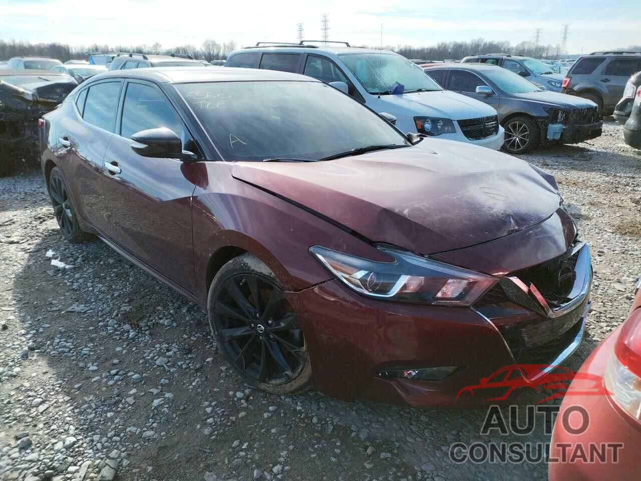 NISSAN MAXIMA 2016 - 1N4AA6AP8GC901034