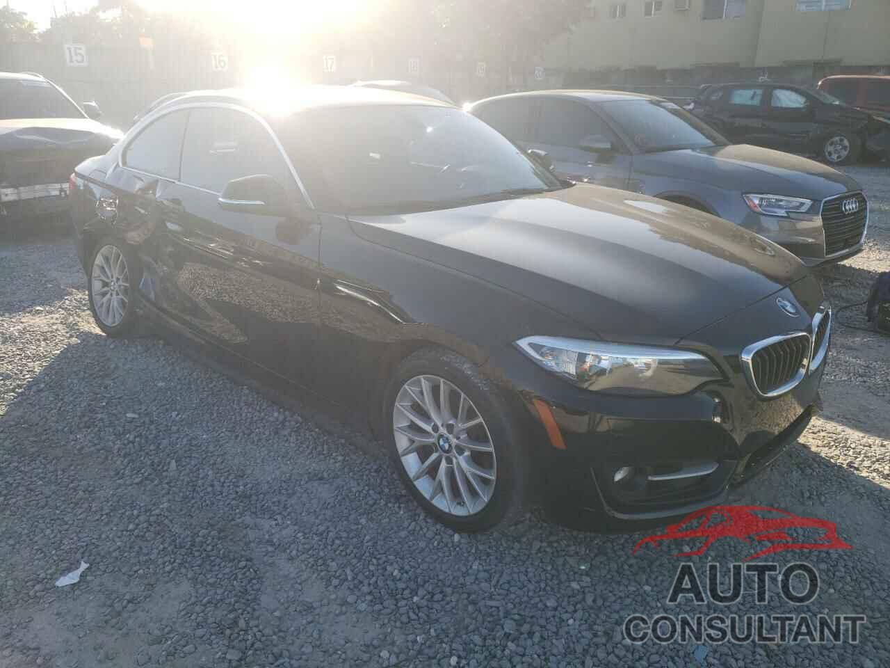 BMW 2 SERIES 2016 - WBA1G9C54GV599717