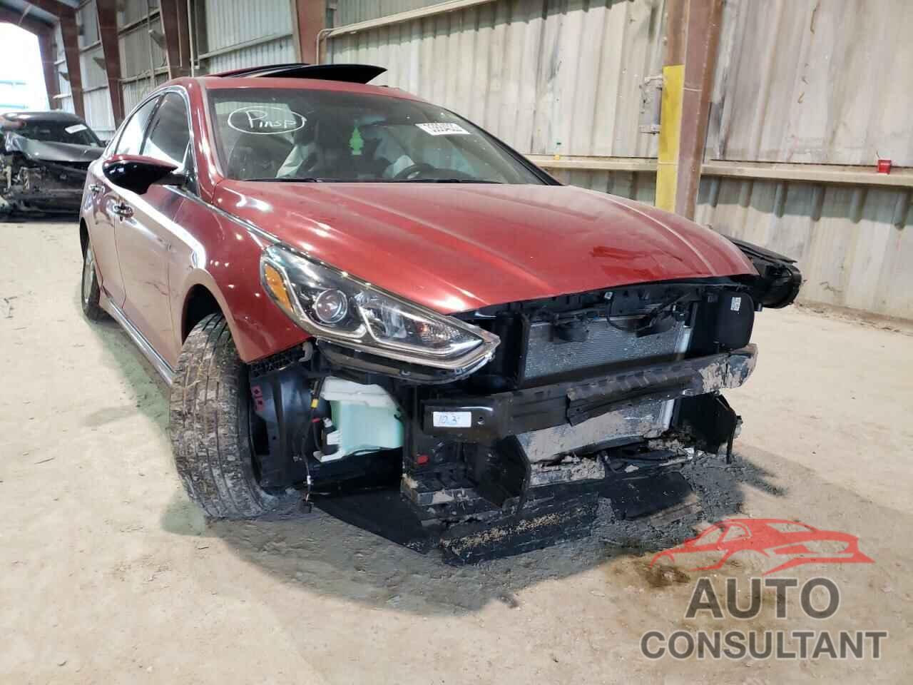 HYUNDAI SONATA 2019 - KNDJP3A50G7327527
