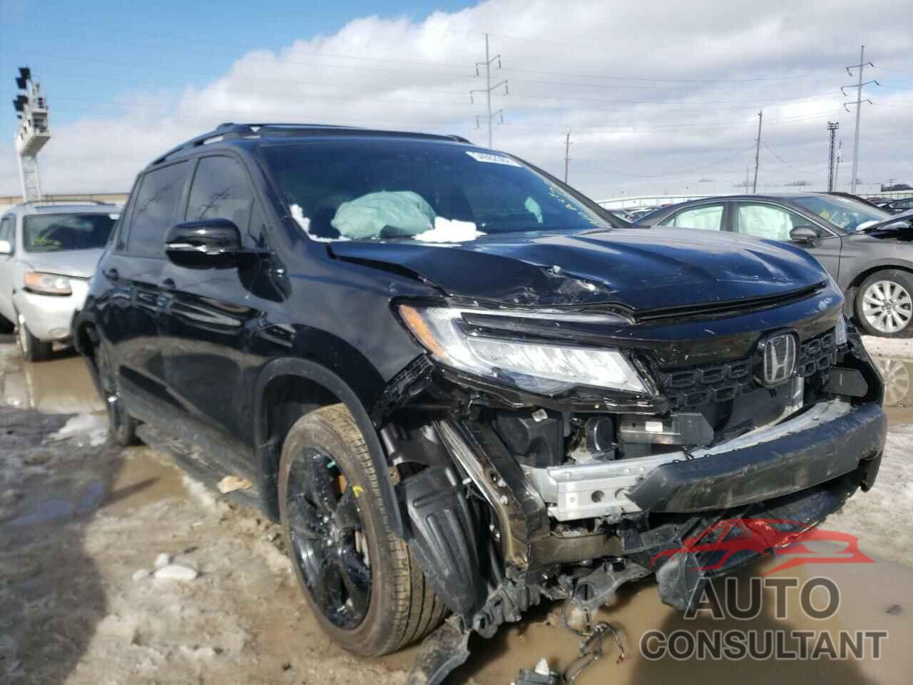 HONDA PASSPORT 2020 - 5FNYF8H03LB019488