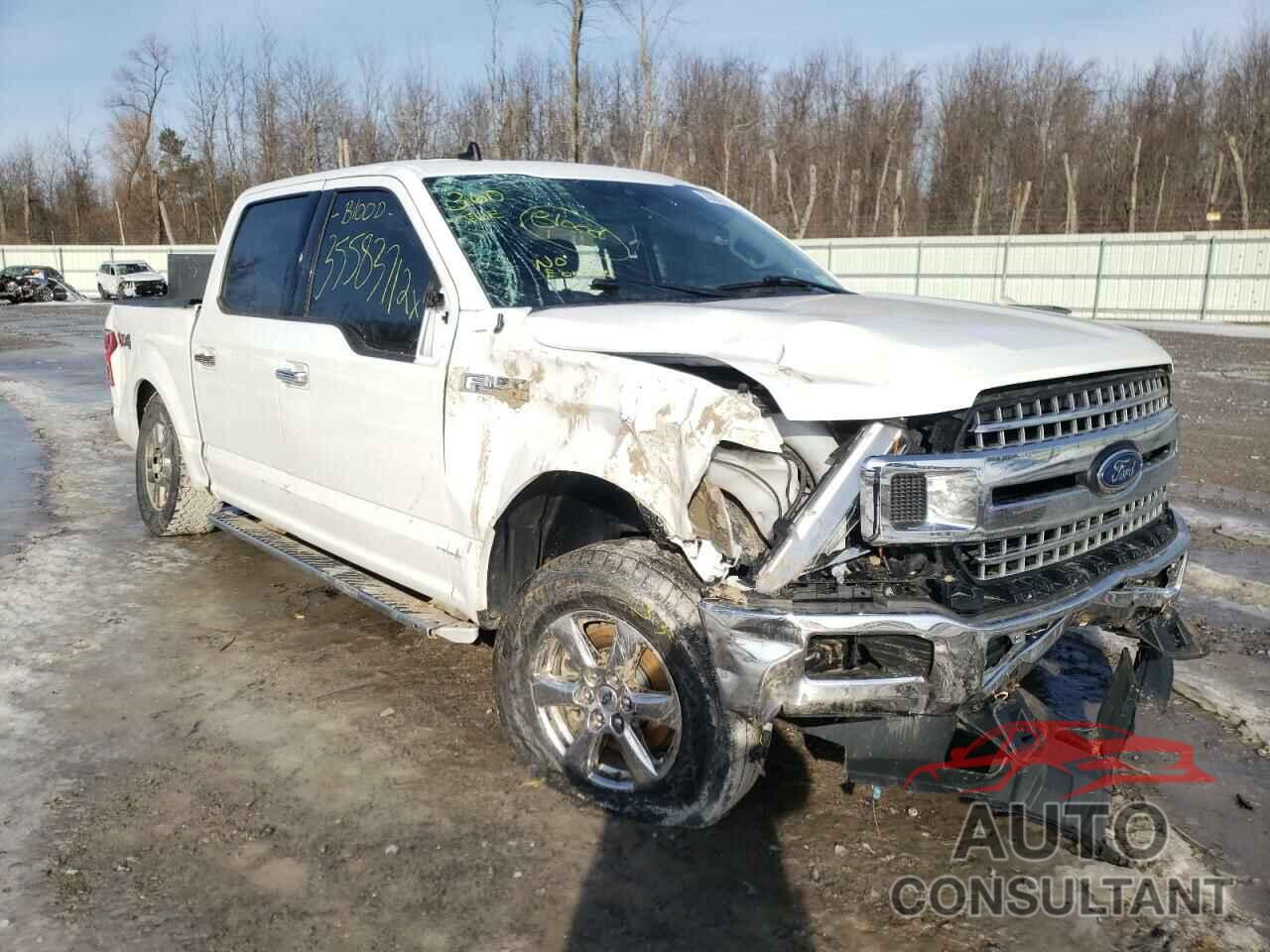 FORD F-150 2019 - 1FTEW1EB7KFB48067