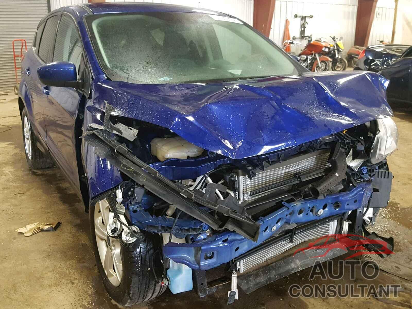 FORD ESCAPE 2016 - 1FMCU0G73GUB96101