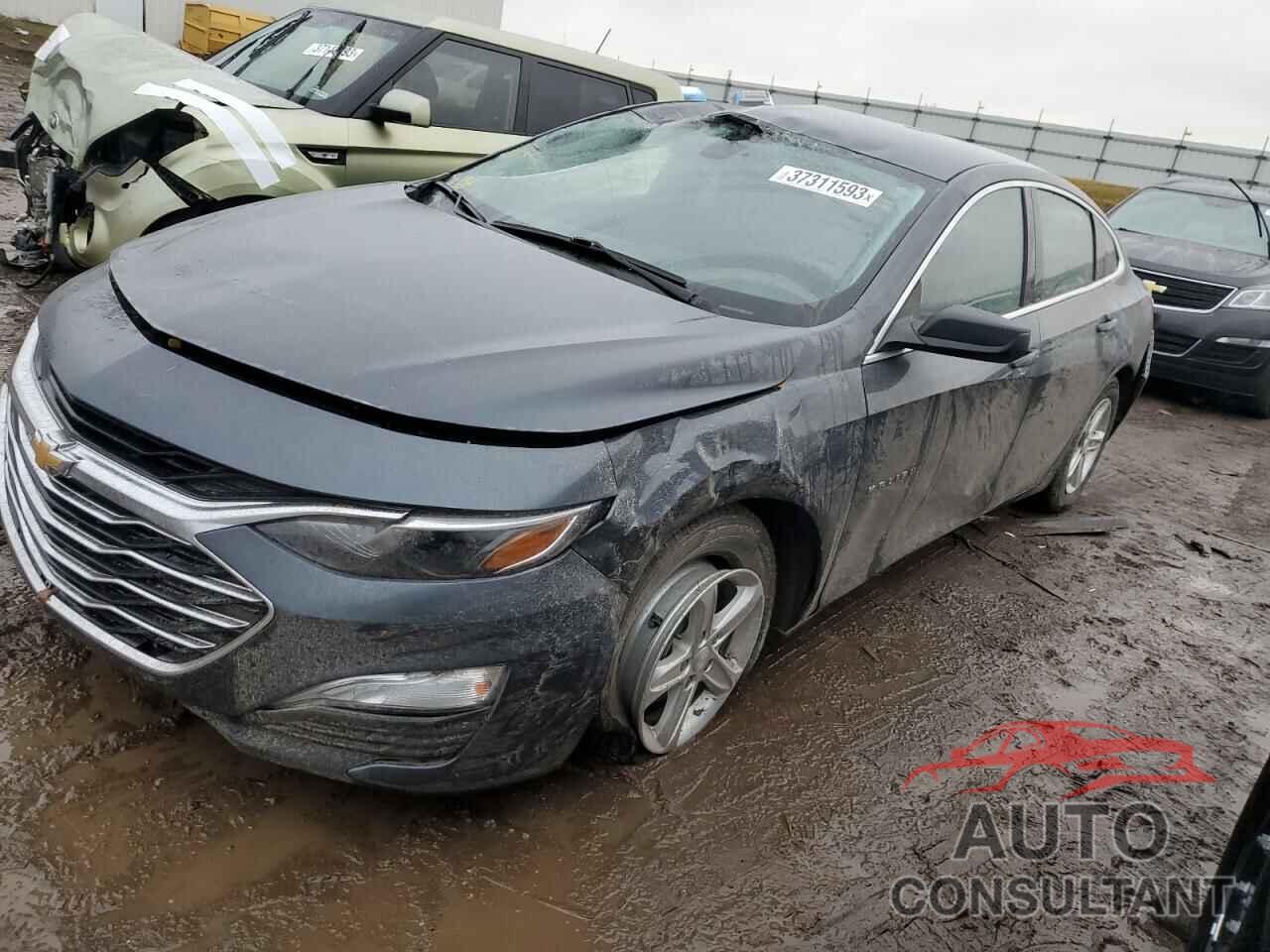 CHEVROLET MALIBU 2019 - 1G1ZB5STXKF115140