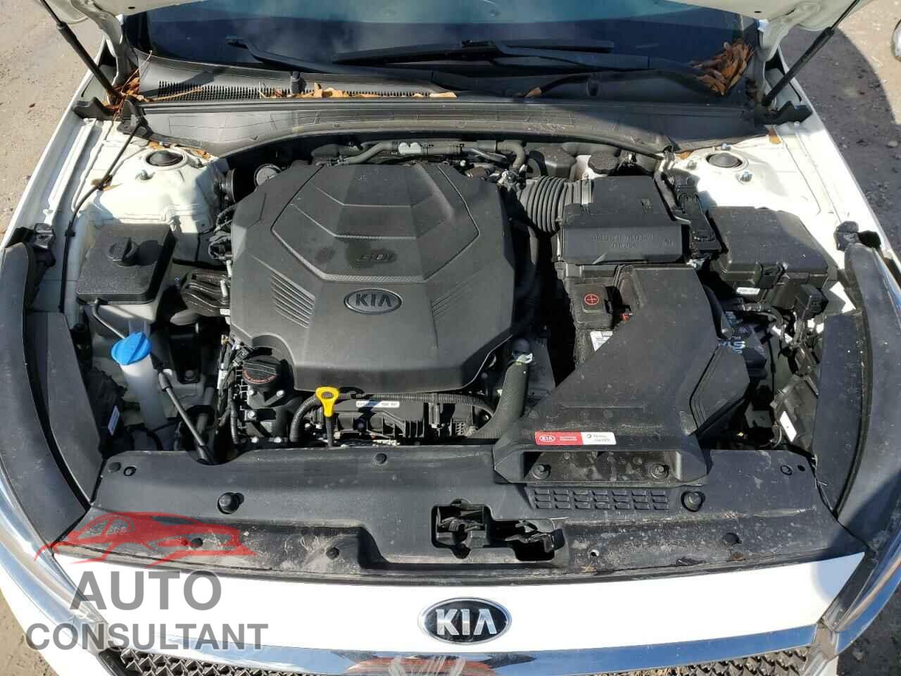 KIA CADENZA 2019 - KNALB4J13K5165128