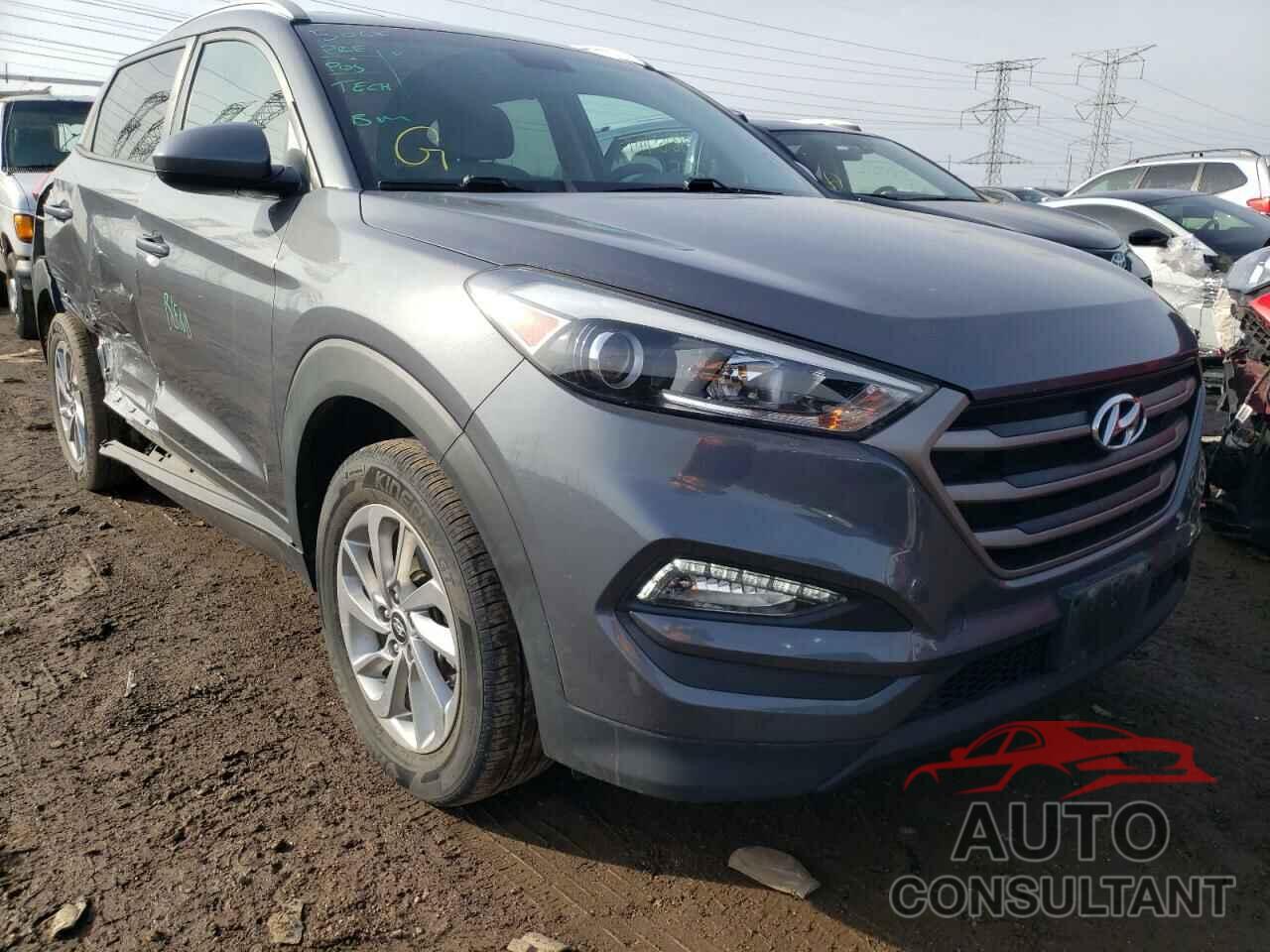 HYUNDAI TUCSON 2016 - KM8J33A41GU135825