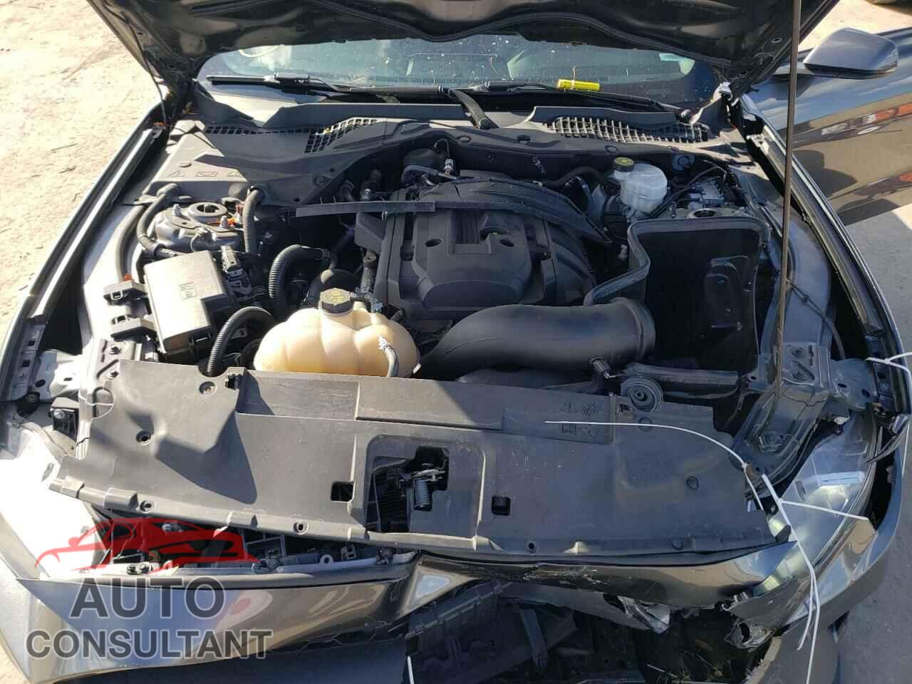FORD MUSTANG 2019 - 1FA6P8TH7K5172012