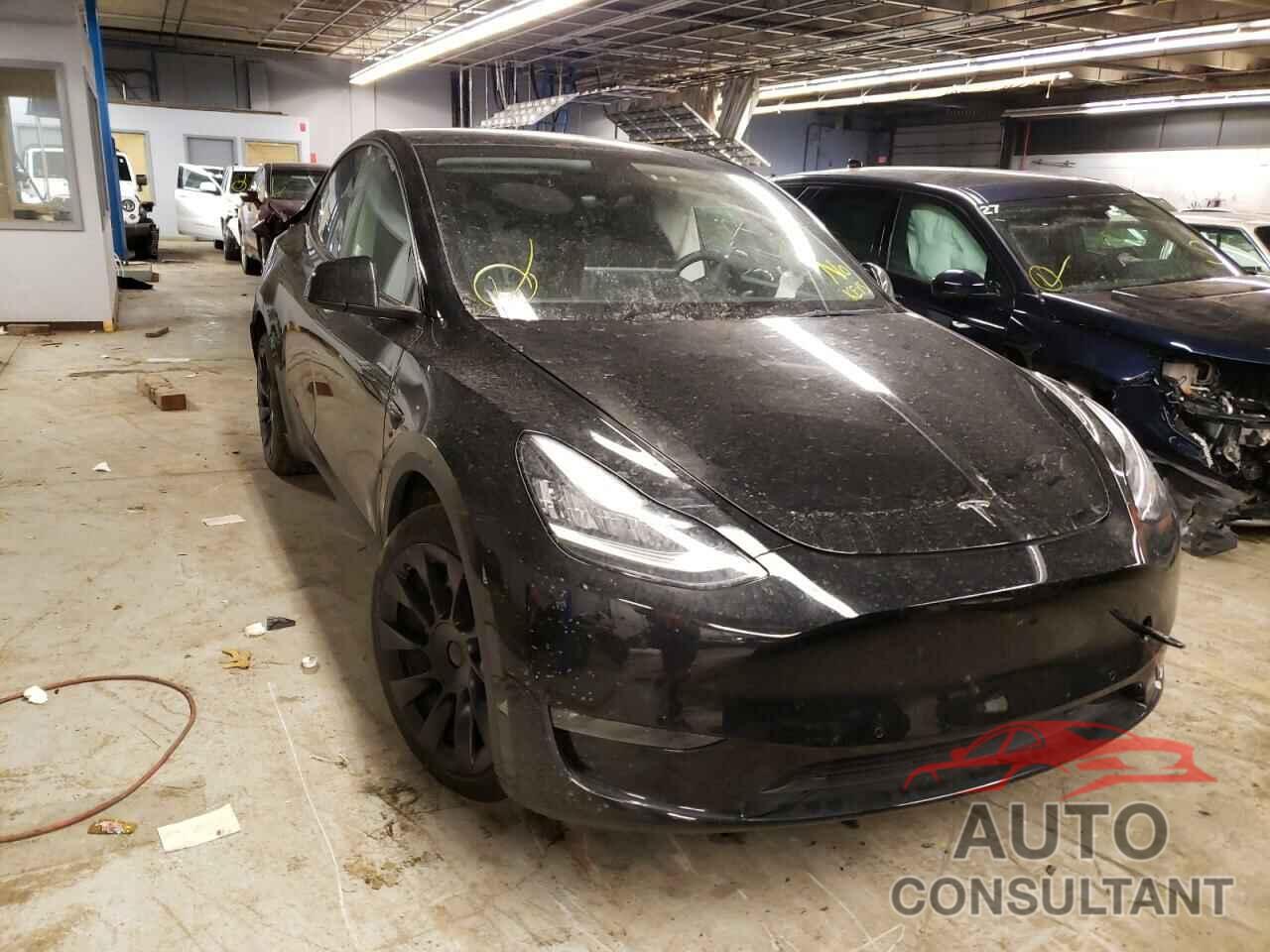 TESLA MODEL Y 2021 - 5YJYGDEE9MF185201