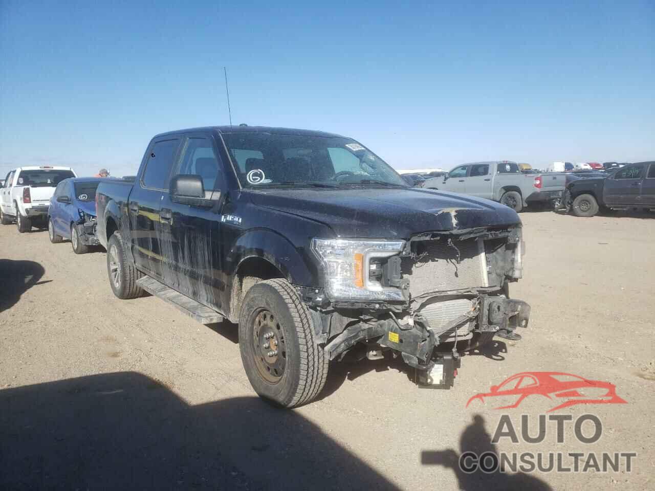 FORD F-150 2019 - 1FTEW1EP0KKF26622