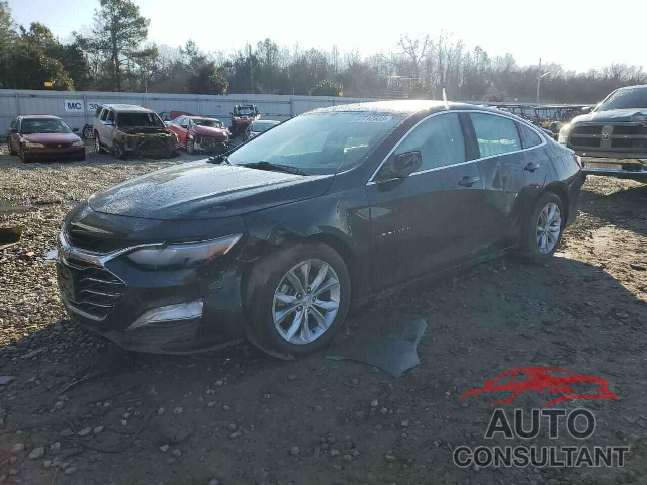 CHEVROLET MALIBU 2019 - 1G1ZD5STXKF177728