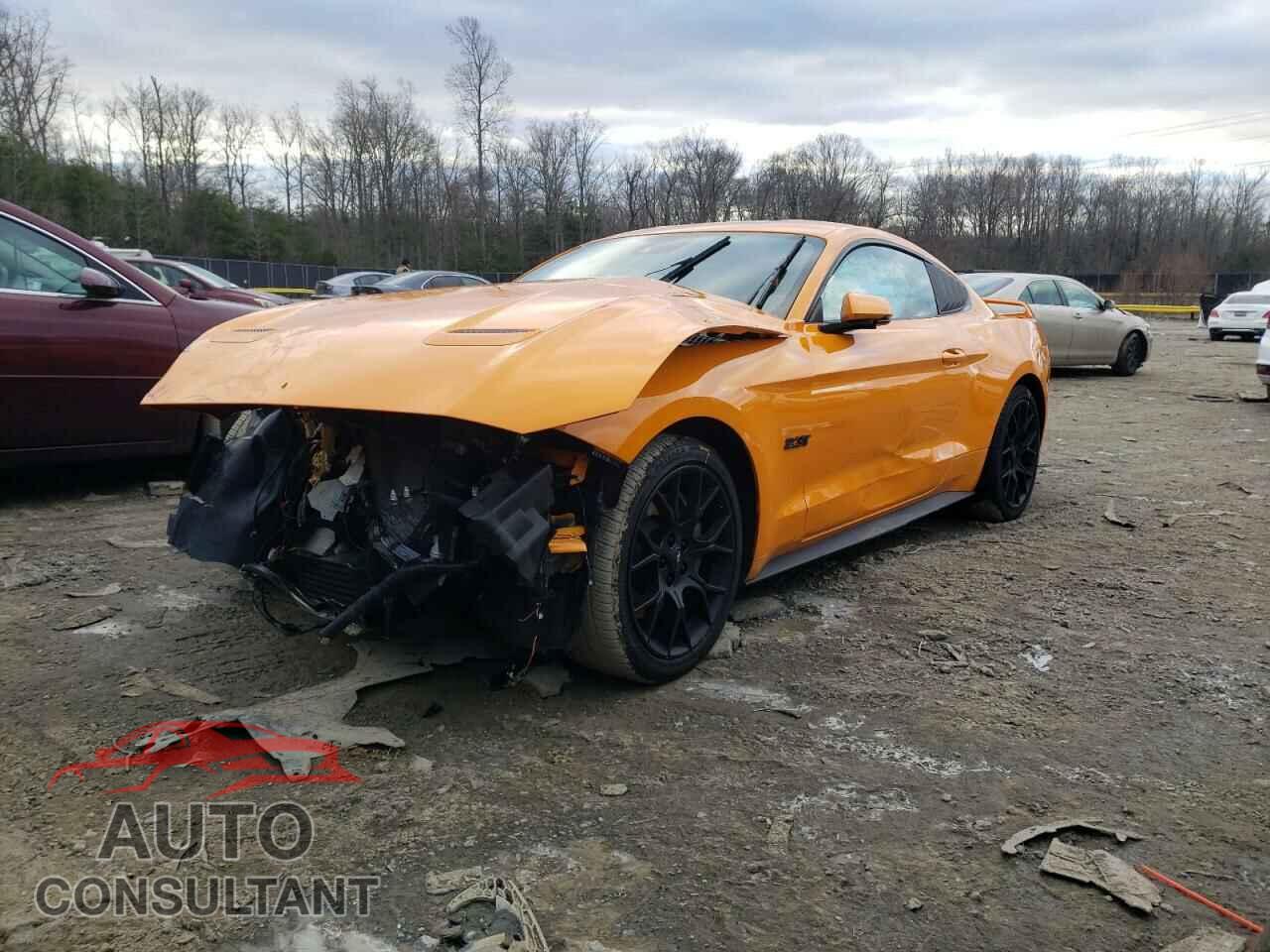 FORD MUSTANG 2019 - 1FA6P8TH8K5124714