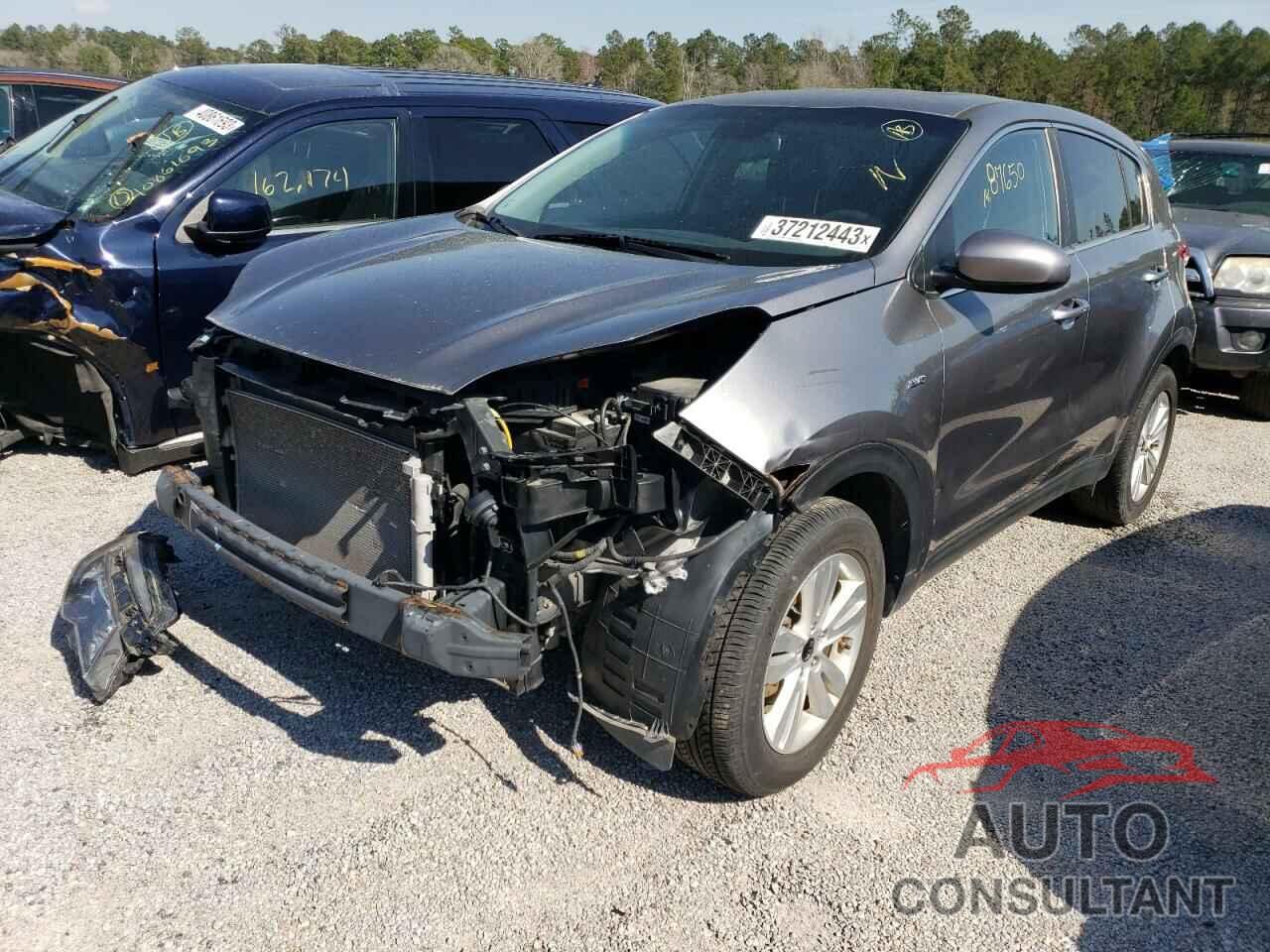 KIA SPORTAGE 2017 - KNDPMCAC7H7129627