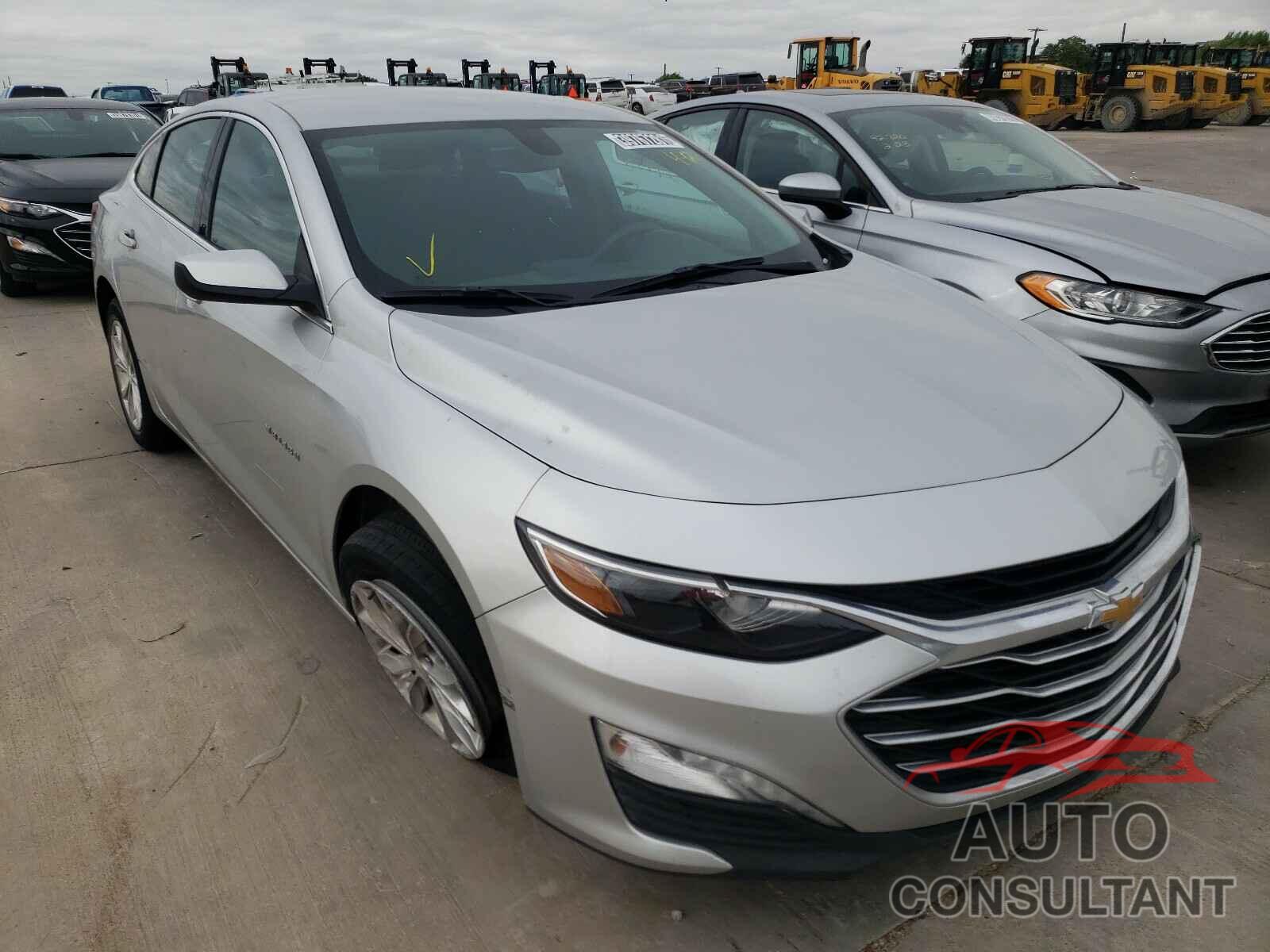 2019 MALIBU CHEVROLET