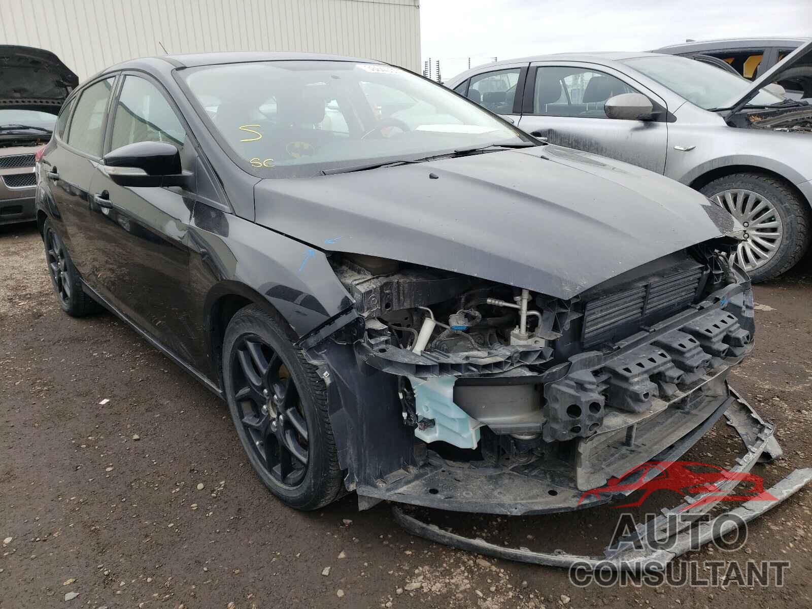 FORD FOCUS 2016 - 1FADP3K24GL366362
